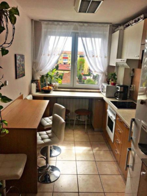 Apartament 3 camere